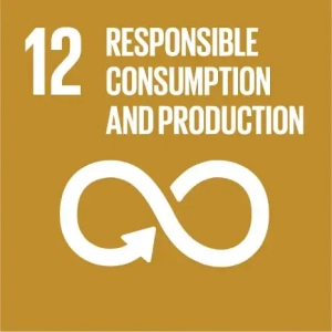 Dark mustard background with a white 12 in the upper left hand corner. Text beside the number reads: Responsible Consumption and Production. Central image, in white, is a figure eight formed by an arrow. 