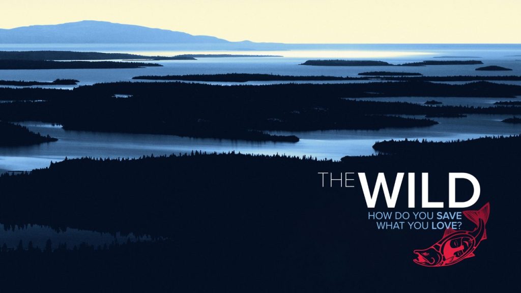 The Wild